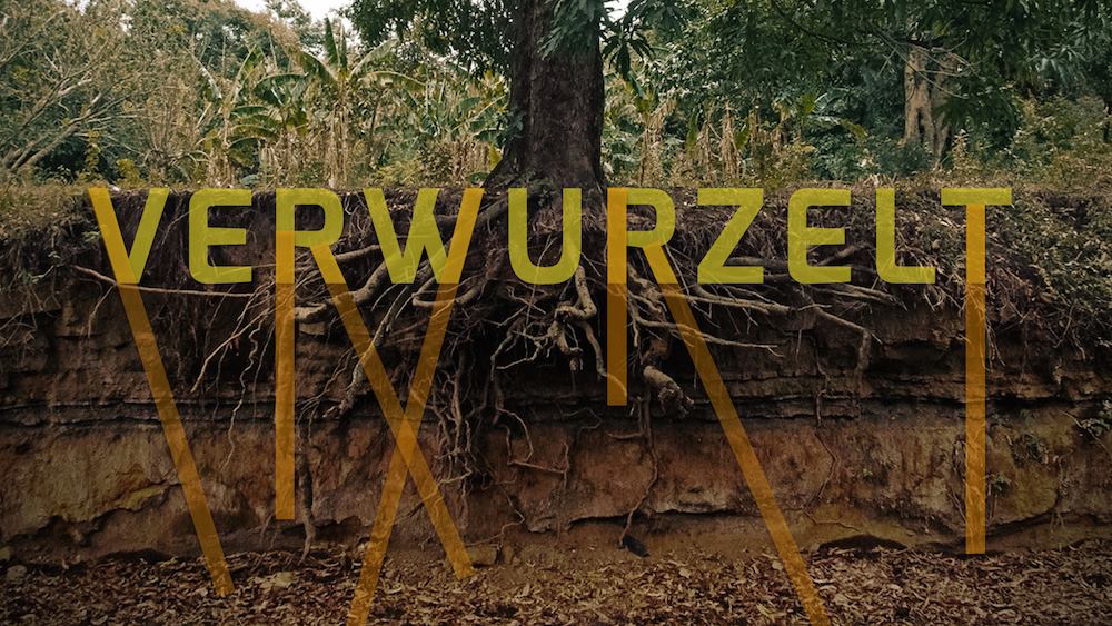 VERWURZELT! Eingepflanzt sein in Gottes Haus.